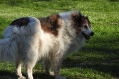 DSCN0237