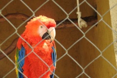 DSCN0285