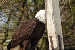 DSCN0328
