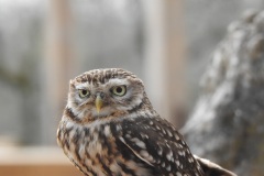 DSCN0376