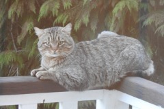 DSCN0454