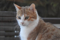 DSCN0457