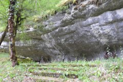 DSCN3175