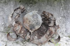 DSCN3178