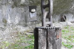 DSCN3181
