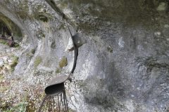 DSCN3211