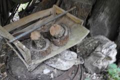 DSCN3226