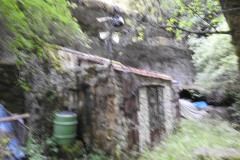 DSCN3228