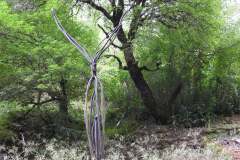 DSCN3245
