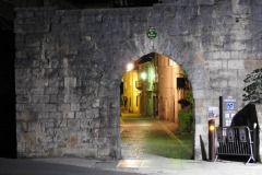 DSCN6246