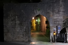 DSCN6247