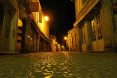 DSCN6308