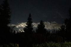 IMG_0166