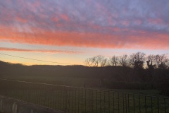 IMG_6682