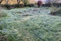 Morning Frost