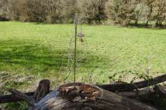 DSCN0270