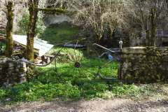 DSCN0271