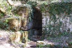DSCN0276