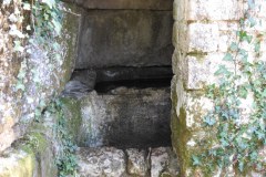 DSCN0277