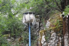 DSCN3170