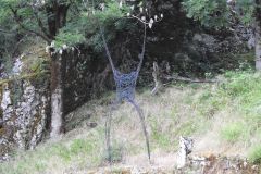 DSCN3171
