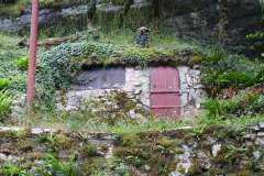 DSCN3173