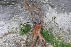 DSCN3176