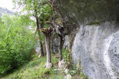 DSCN3188