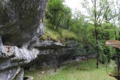 DSCN3192