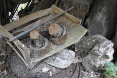DSCN3226