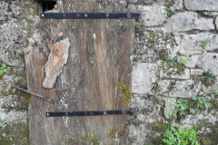 DSCN3242