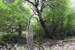 DSCN3245