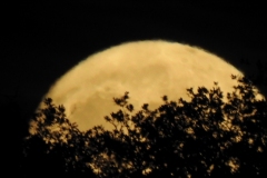 1_DSCN5943
