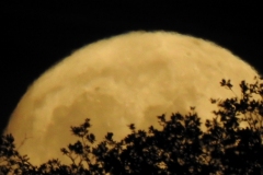 1_DSCN5946
