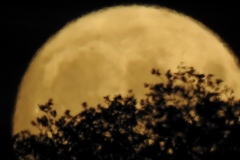 1_DSCN5949