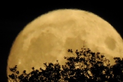 1_DSCN5951