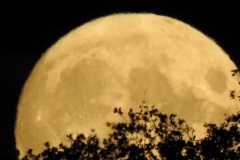 1_DSCN5952