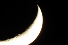 DSCN0056