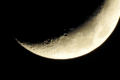 DSCN0058