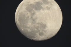 DSCN0088