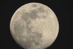 DSCN0089