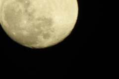 DSCN0097
