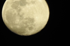 DSCN0098