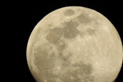 DSCN0100