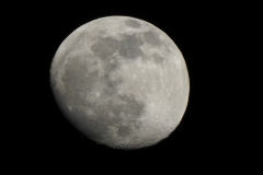DSCN0843