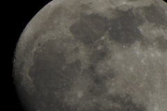 DSCN0845