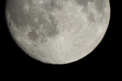 DSCN0846