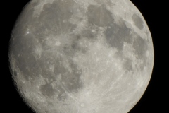 DSCN0847