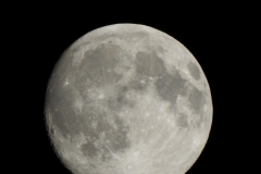 DSCN0848