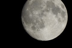 DSCN0849